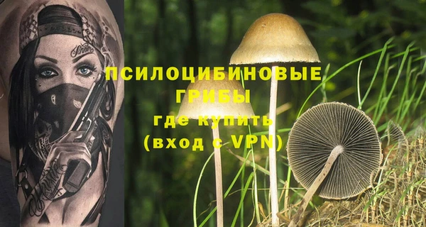прущие крисы Алексеевка